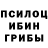 Псилоцибиновые грибы Psilocybe Bekzat Sultangaziev