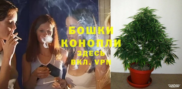 каннабис Осташков