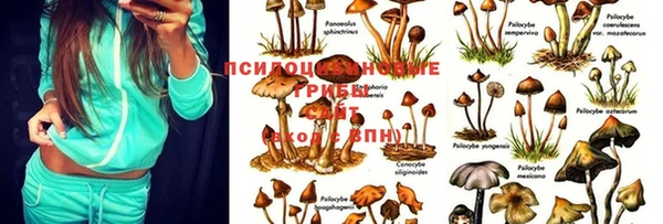 дживик Абдулино